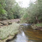 Looking down Middle Harbour Creek from stepping stones