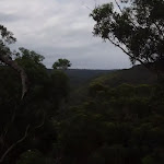 View from mid way along Bungaroo track