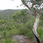 One of several view points on the Bungaroo track