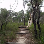 Most of the Bungaroo track is very clear