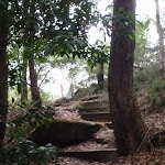 Steps at the bottom of the Bungaroo track