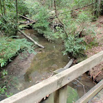 Bridge over Gordon Creek