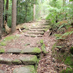 Historic steps on Two Creeks Track