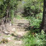 Steps on Lindfield Park track