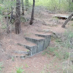 Some old steps on side of the track