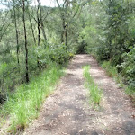 Davidson service trail