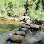 Stepping stones across Middle Harbour Creek