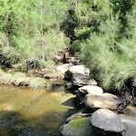 Stepping stones on Middle Harbour Creek
