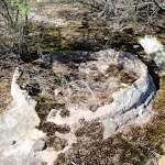 Rock formation in Garigal National park