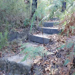 Natural Bridge Track steps
