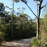 Currie Rd Service trail