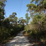 Following the powerlines through the bush