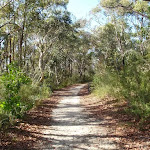 Currie Rd Service trail