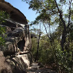 Bushtrack beside a short cliff