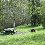 Bantry Bay picnic area