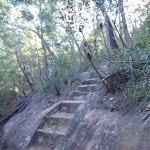 Steps in rock on Two Creeks Track