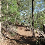 Two creeks track in Little Diggers Park