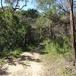Carlyle road service trail