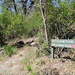 The Carroll Creek Track