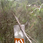 Track marker to Porters Pass
