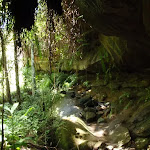 Casuarina track cave