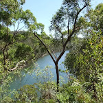 Middle Harbour Creek from Casuarina track
