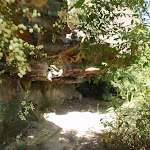 Cave on Casuarina track