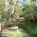 Bates Creek Track