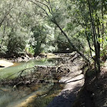 Continuing along Carroll Creek