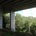 Under Roseville Bridge