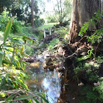 Moores Creek near end of Amarna Pde