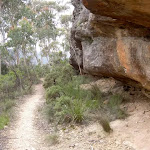 Walls Ledge Track lower trail