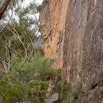 Climber above Walls Ledge Track