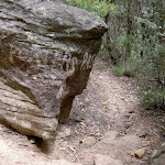 White markings on boulders