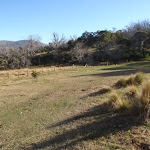Main camping area at Rocky Plain camp ground