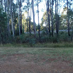 View of road from campsite