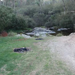 Campsite near creek