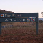 Welcome to the Pines