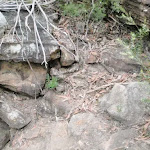 Gully track passes down near Attic Cave