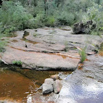 Small water hole on Lincoln Creek