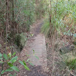 Bridge along the Red Hands Cave Track