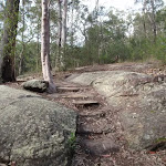 Track above Red Hands Cave