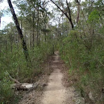 Track up to Red Hands Cave picnic area