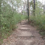 Steps in track near Red Hands Cave car park