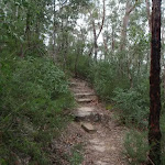 Track up to Lawsons Lookout