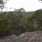 View into valley from Lawsons Lookout