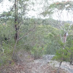 Track near Lawsons Lookout