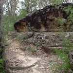 Rock beside track to Lawsons Lookout