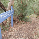 Magdala Gully sign