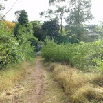 Grassy track to Lapstone Pl